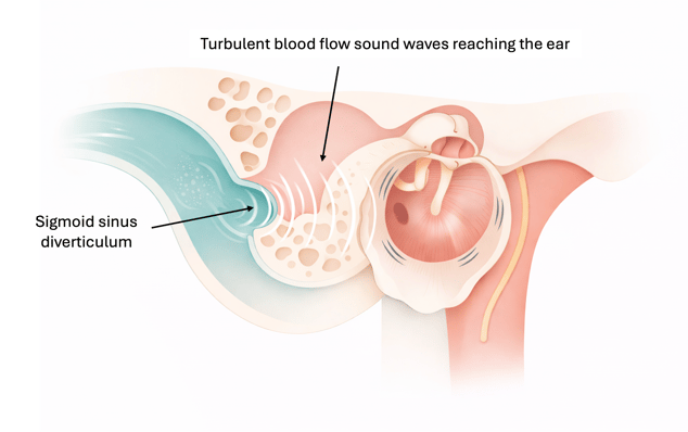 Picture1-Feb-15-2026-02-40-43-3675-AM