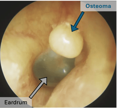 Screenshot 2026-02-08 at 22.09.22