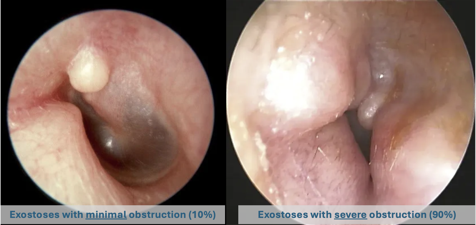 Screenshot 2026-02-08 at 22.17.36