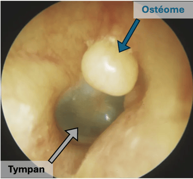 Screenshot 2026-02-11 at 14.47.40