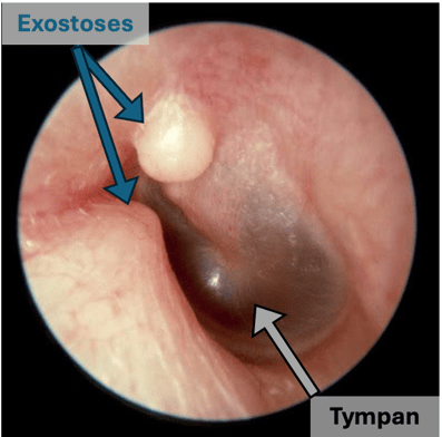 Screenshot 2026-02-11 at 14.47.57