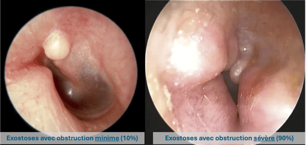 Screenshot 2026-02-11 at 14.48.51