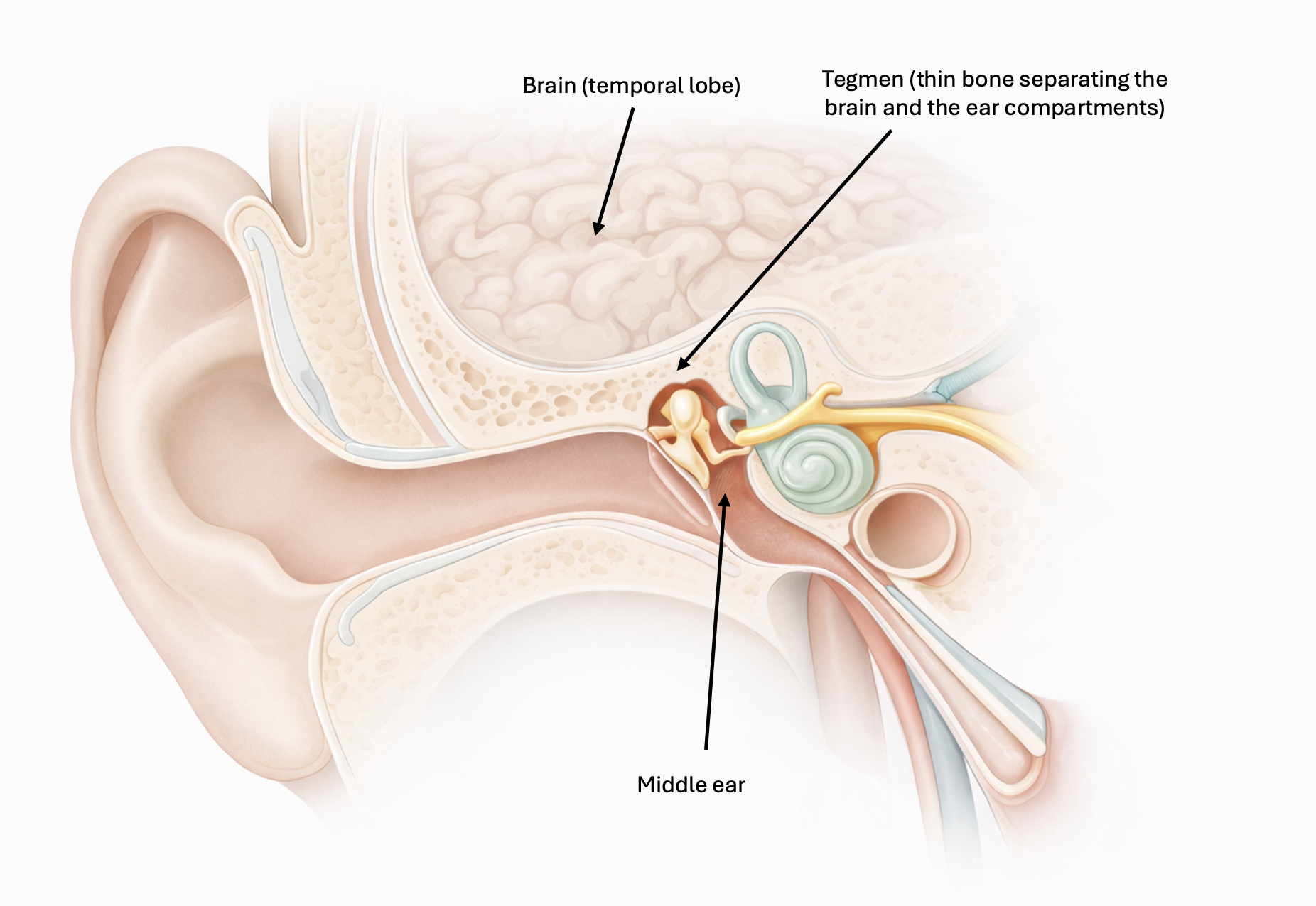 Screenshot 2026-02-23 at 19.25.44