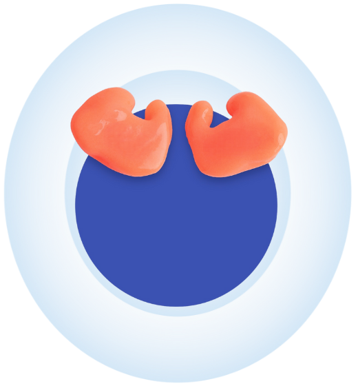 earplugs